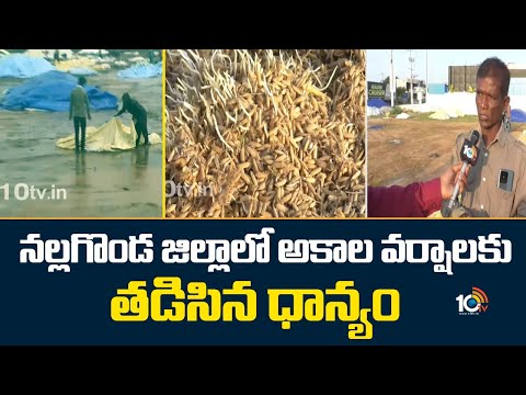 Paddy Soaked Due To Heavy Rains In Nalagonda | నల్లగొండ జిల్లాలో అకాల వర్షాలకు తడిసిన ధాన్యం | 10TV - 10TVNEWSTELUGU