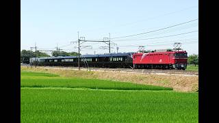 EF81-81+E655系・E657系