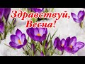 С Добрым Утром! ❄️🌺Прощай Зима, Здравствуй Весна! 🌺 Поздравление С Первым Днём Вёсны! 1 Марта