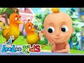 🐦🦅Two Little Dickie Birds - Educational Music For Kids | LooLoo KIDS