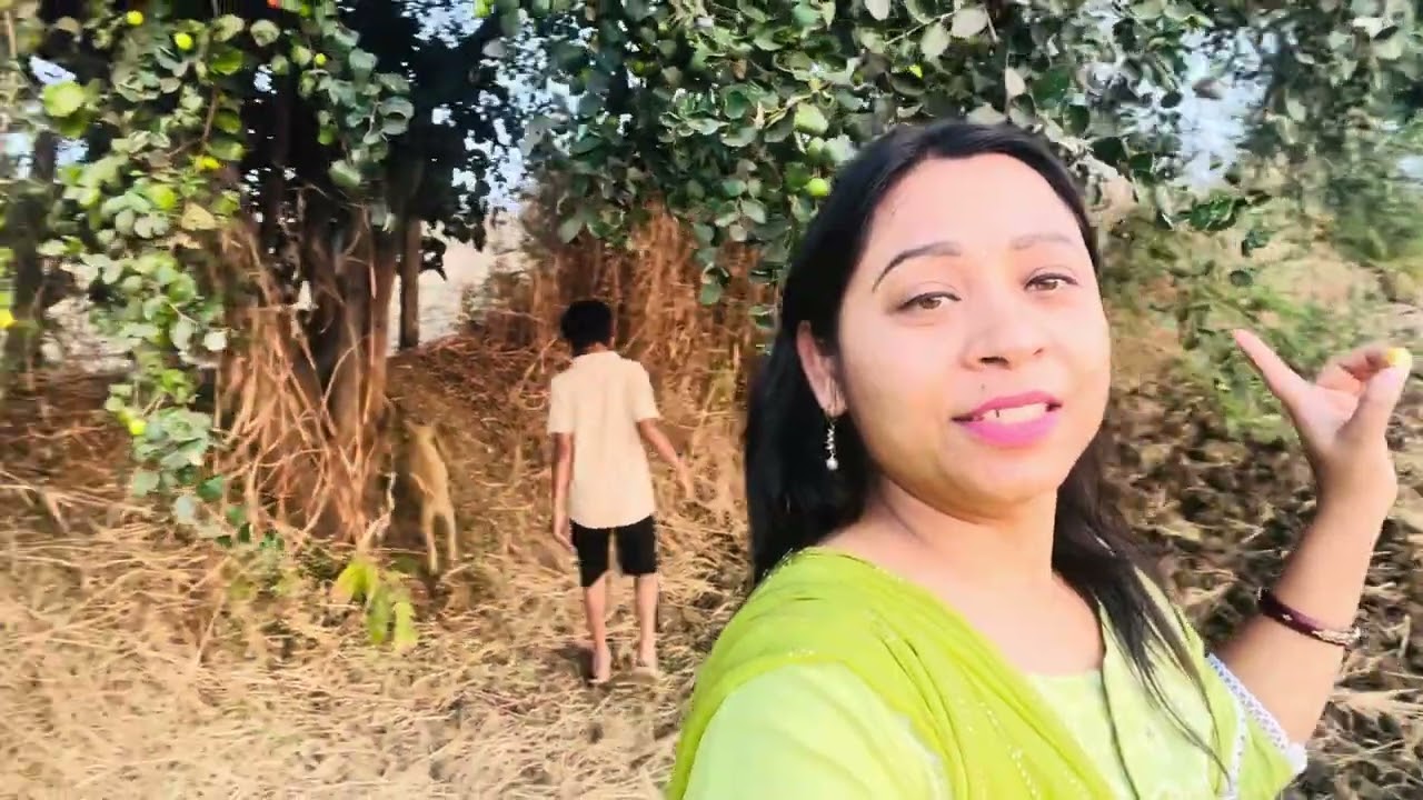 फ़ार्म खेत इतने सारे बेर #vlogs 