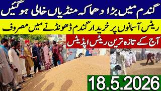 New Gandum Rates Today 2026 || New Makki Price Today || Gundam kay Rates Today 2026