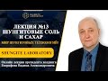 Лекция №13. Шунгитовые соль и сахар.