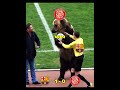 Barcelona vs Girona Prediction ⚽