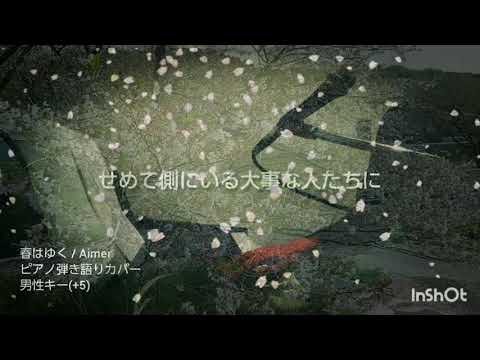 春はゆく / Aimer ピアノ弾き語り 男性キー(+5キー)