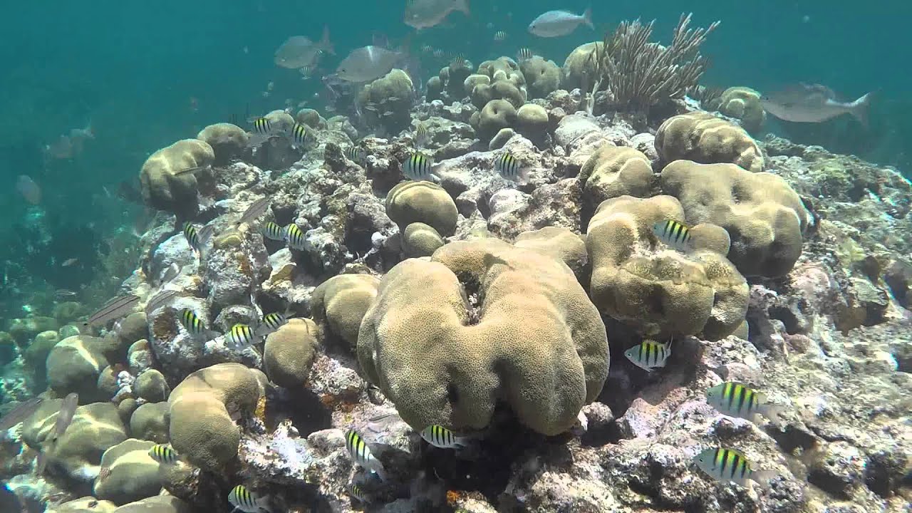 Loggerhead Key and Little Africa, Dry Tortugas