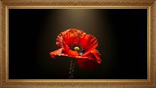 Romantic Nature Scene | Soft Calm Art Visual Screen (3 Hours) screenshot 5