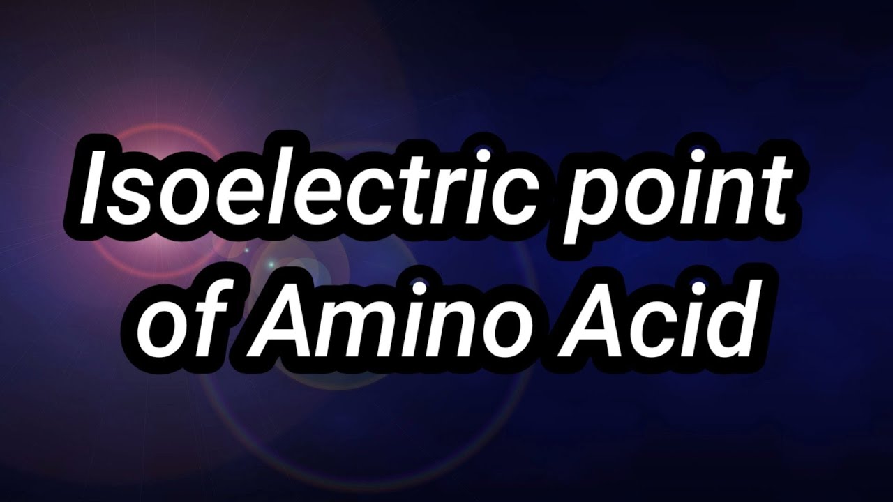 Isoelectric Point Of Amino Acid - YouTube