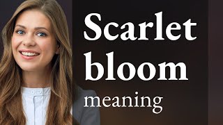 Exploring the Phrase Scarlet Bloom: An English Learning Journey