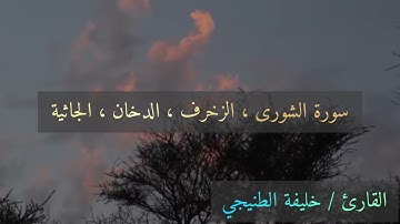سورة الشورى الزخرف الدخان الجاثية / خليفة الطنيجي