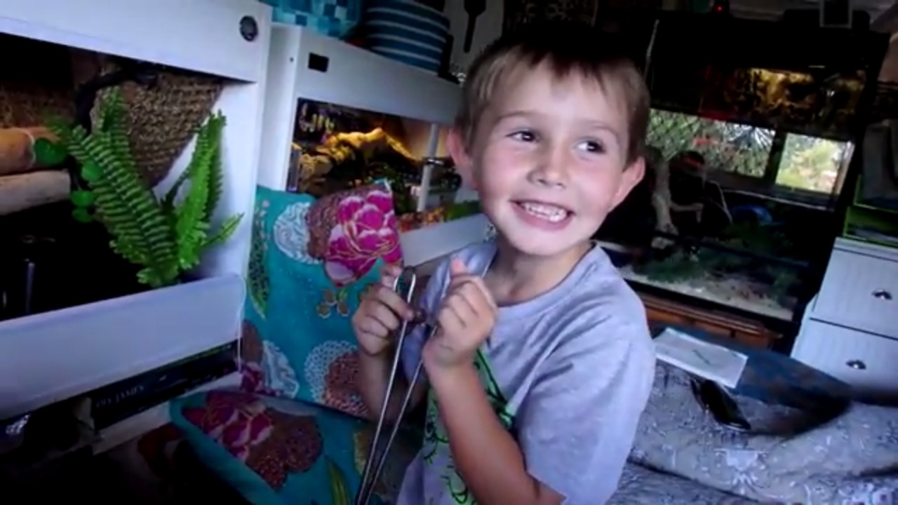 snake oil Little Boy, Big Snake, Jack