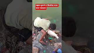 नदीच्या पाण्यात लहान मुलाला सापडला 5 किलोचा मासा. मासे पकडायला मेहनत किती करतोय मुलगा मासे पकडणे