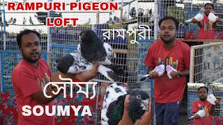 HIGH FLYING RAMPURI PIGEON LOFT VISIT AT  LAXMIKANTAPUR  ( SOUMYA ) - 7074471274