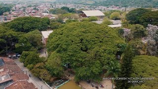 El Saman de Santander de Quilichao, Cauca