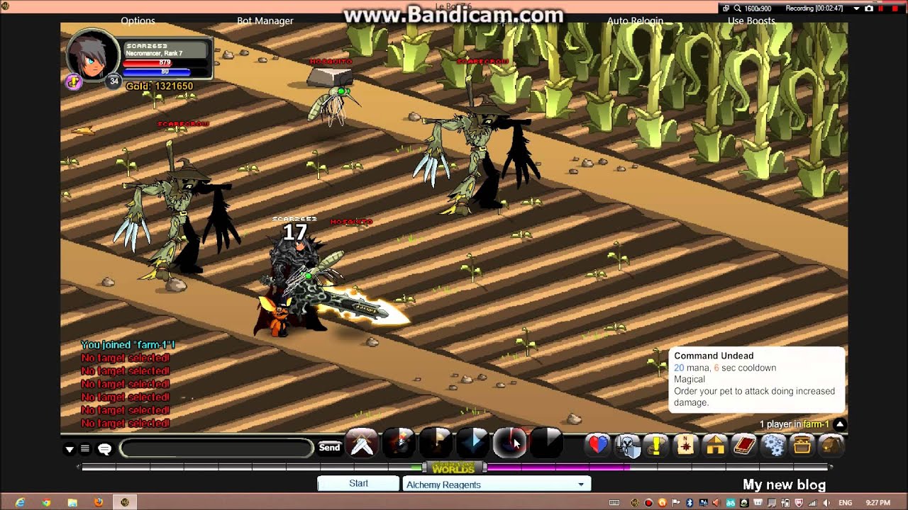 aqw le bot