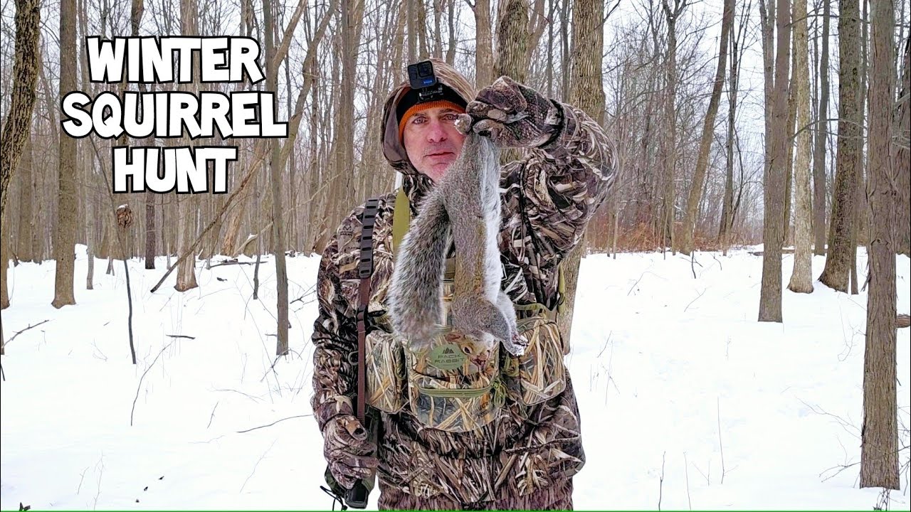 Зимняя охота на белку перед снегом