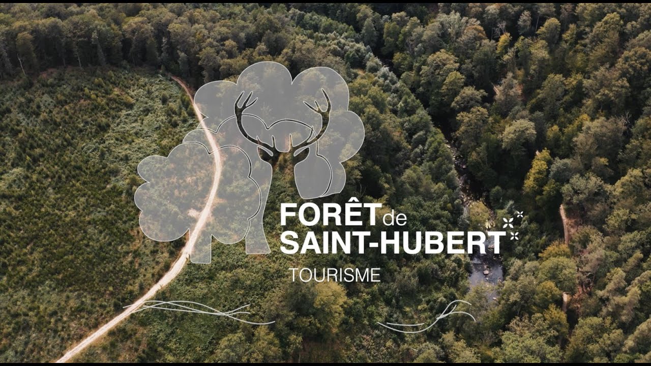 Forêt de SaintHubert, voor u natuurlijk ! YouTube