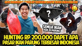 HUNTING IKAN PALING UNIK RP 200.000 UDAH DAPET IKAN KAYA GINI DI PASAR IKAN PARUNG! TERBESAR BOGOR!