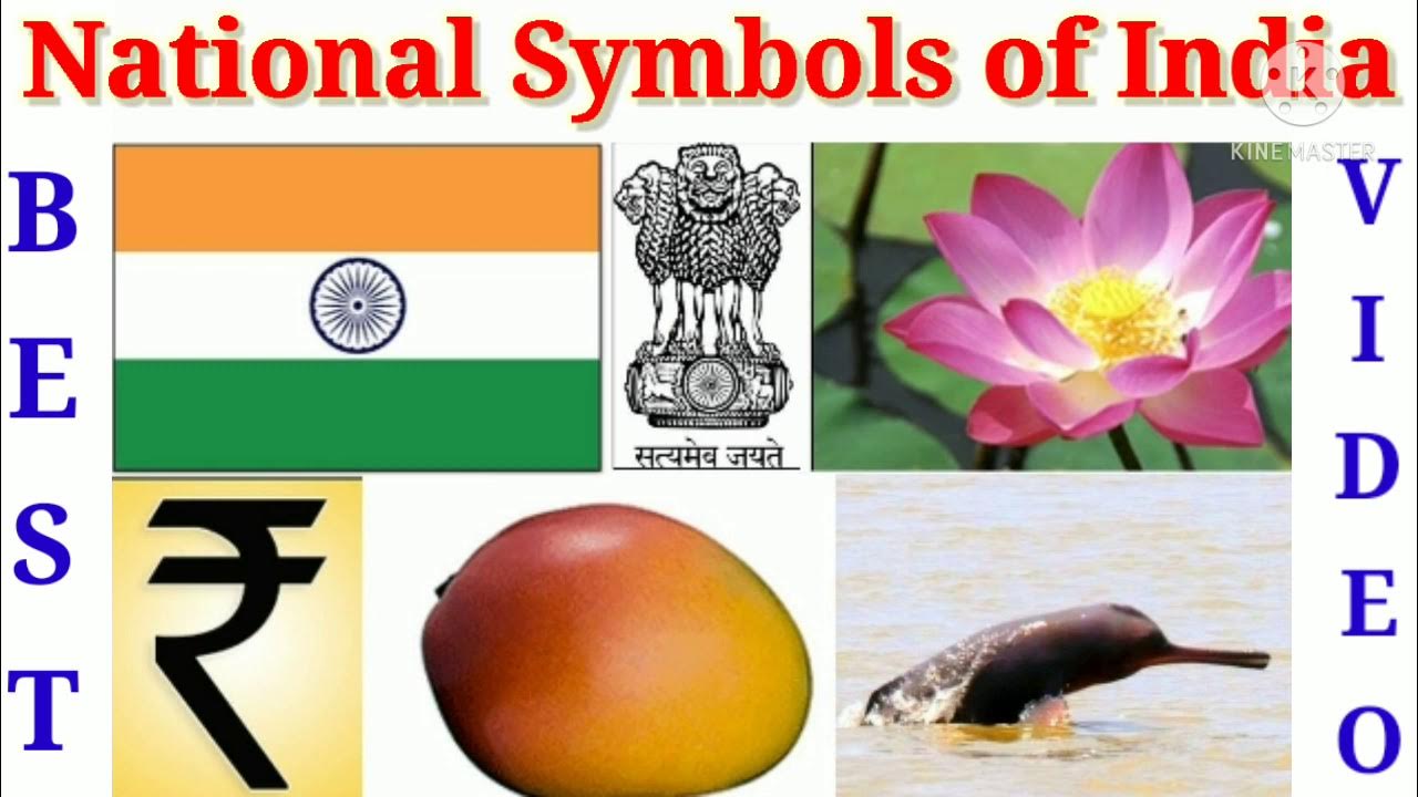 Symbole national цена 0.7. National symbols. National symbols of India. China National symbols HD Wallpapers. Thailand National symbols HD Wallpapers.