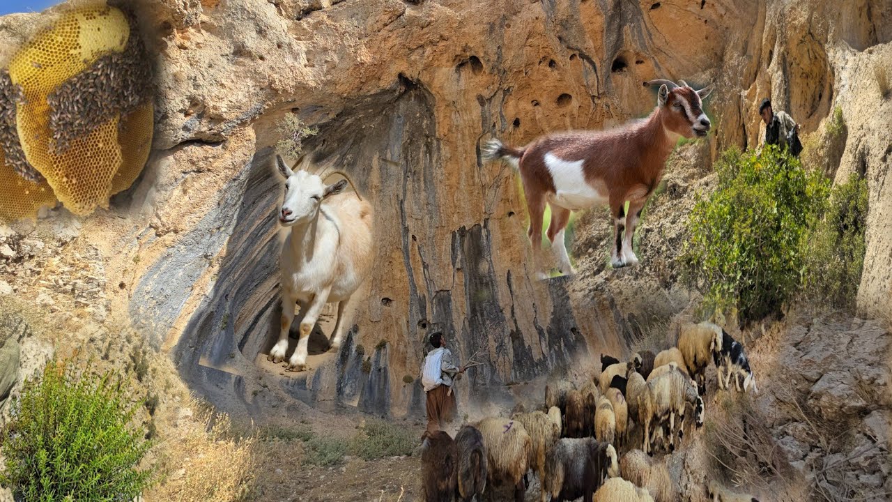 A shepherd's journey into the heart of ancient mountains and caves ...