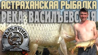 Рыбалка в Астраханской области. Река Васильевская, в районе Мултаново. Рыбачим вместе.