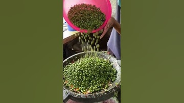 Makan di sambel hejo beledag emang bikin nagih terus