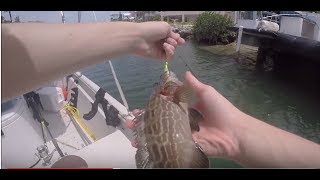 Day 3 of our 2 week vacation in the florida keys and let's just say we
are gonna be fishing! great videos edits coming soon! today went out
skipping d...