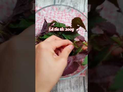 Video Cách làm nước tía tô - Hướng Dương Ngược Nắng #shorts - youtube