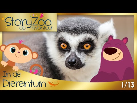 Video: LemurFaceID: Een Gezichtsherkenningssysteem Om Individuele Identificatie Van Maki's Te Vergemakkelijken