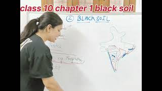 Class 10 geography chapter 1 black soil, all soil