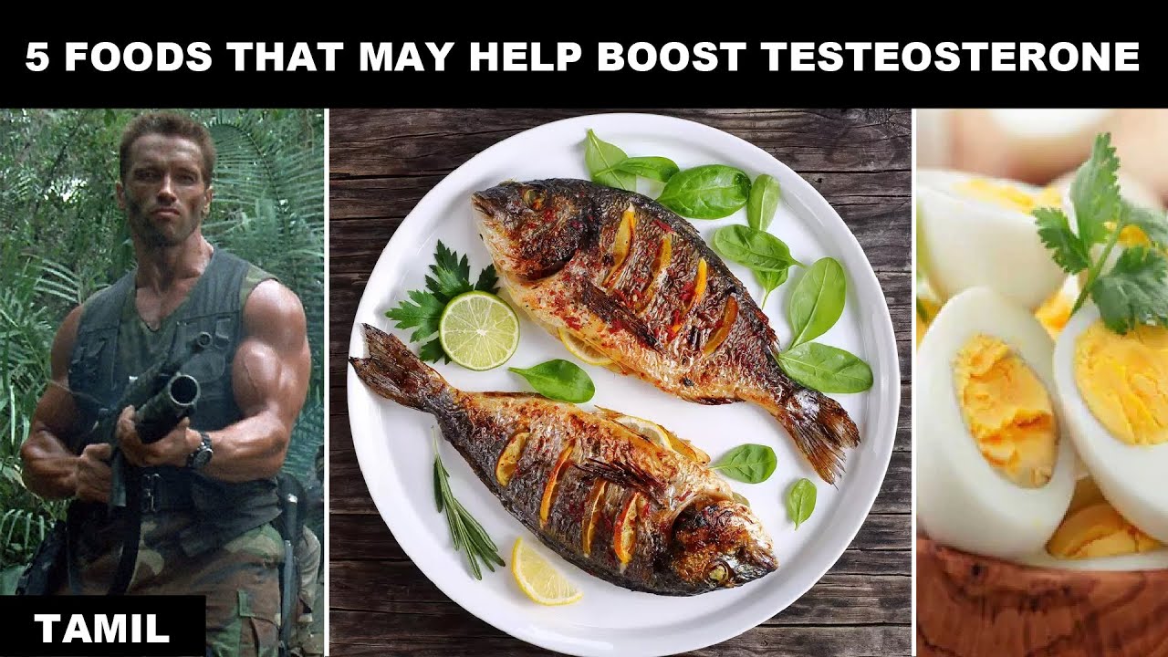 5 Best Foods To Boost Your Testosterone Levels Tamil Motivation