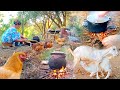 Algerian Rural Woman Living In The Countryside And Cooking On Wood