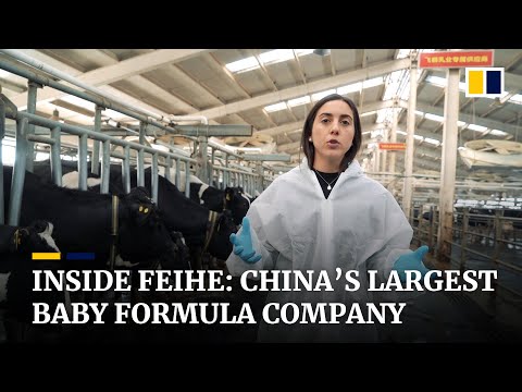 How Feihe survived the 2008 tainted milk scandal and became China's largest baby formula company