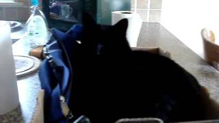 Casper December 2010