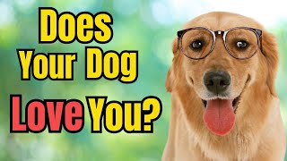 5 Secret Signs Your Dog LOVES You but You Don't Know! by Top 5 Animal Wonders 285 views 4 months ago 3 minutes, 14 seconds