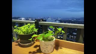 Iresidence  Icity Shah Alam Morning Vibes