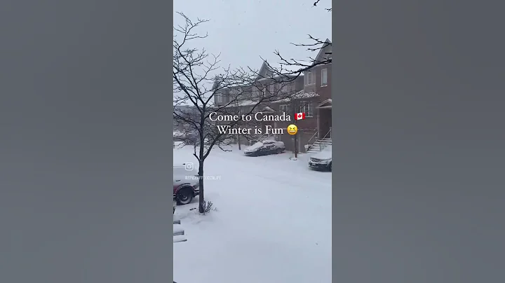 Canadian winter 🇨🇦❄️ |#canada #winter #funny #shorts