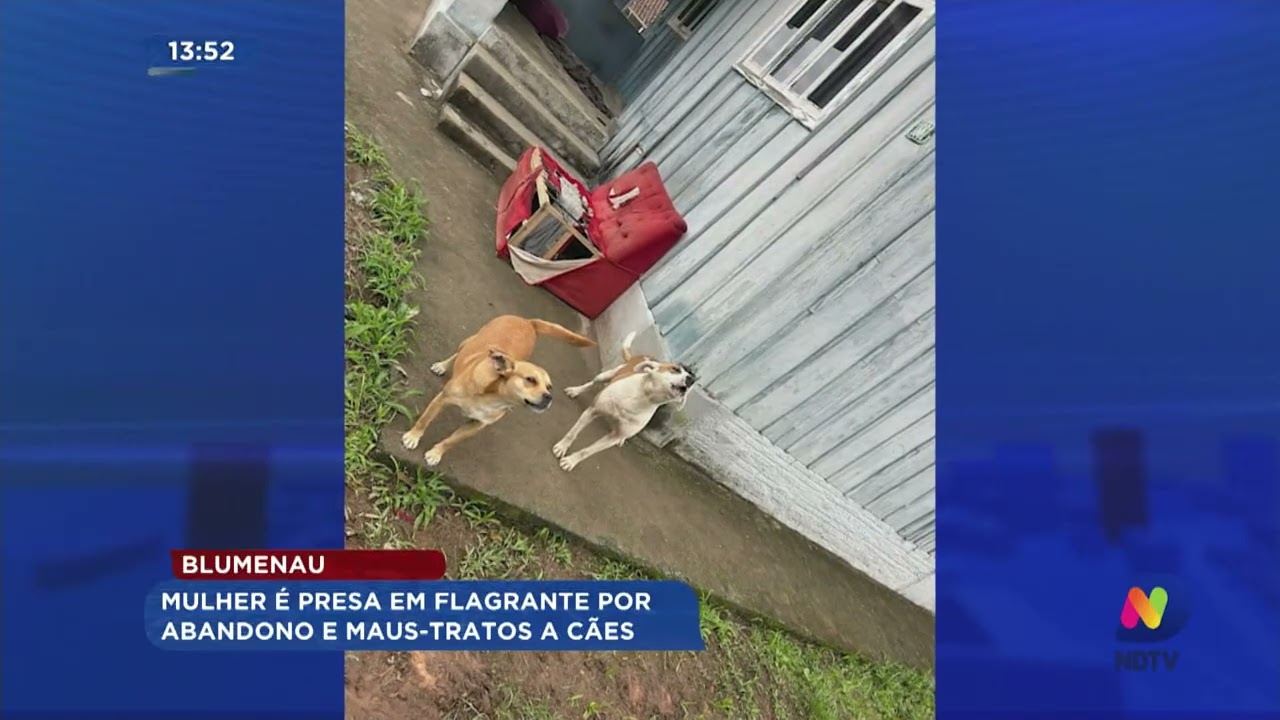 Blumenau: mulher é presa em flagrante por abandono e maus-tratos a cães