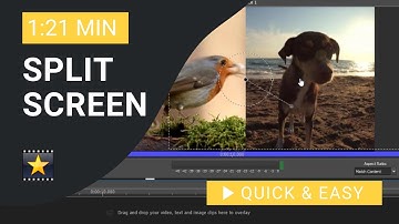 VideoPad Tutorial: How to Split Screen in VideoPad