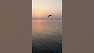 سورة إبراهيم آية(١٢).