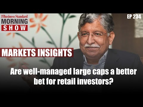 Are well-managed large caps a better bet for retail investors? - Business Standard