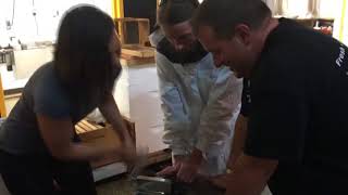 Take This Job: Beekeeper