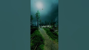 جزء 5 | عَمَّ يَتَسَاءَلُونَ عَنِ النَّبَا العَظيمِ).سورة النبأ: القارئ مشاري البكو #quran #قرآن