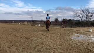 Gran Diva Flatwork 12-19-18