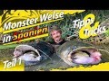 Monster Welse in Spanien | Teil 1 | Die richtige Wels-Ausrüstung für den Angelurlaub in der Wildnis