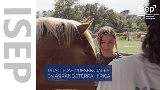 Máster en Terapia Asistida con Animales de ISEP, desde dentro. Práctica en Arrendeterra Hípica.