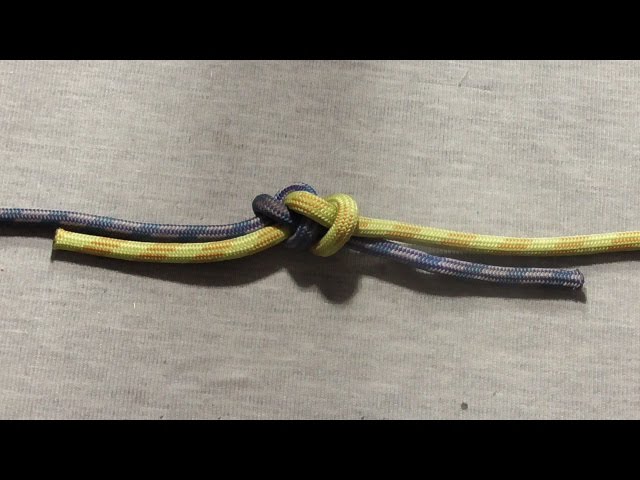 7 va 8-sinflar uchun jinsiy aloqa video Winx Bloom va Skye jinsiy aloqa video