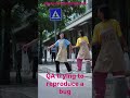 How QA struggles to reproduce a bug 😬 #qa #testing #softwaretesting #softwaredevelopment #quality