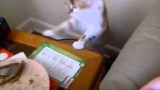 Capture 20120829 1
