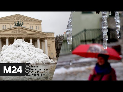 Потопы на дорогах и плавающие автобусы: сколько продлится аномальное потепление в Москве